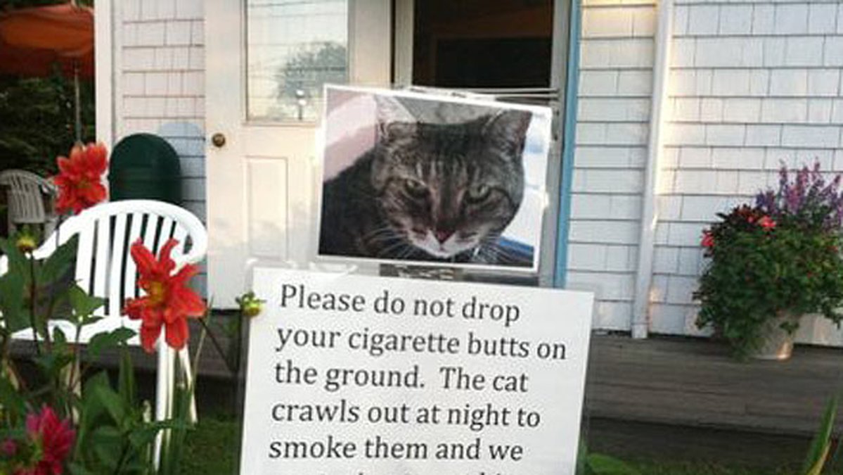 En katt med ett tobakasproblem.